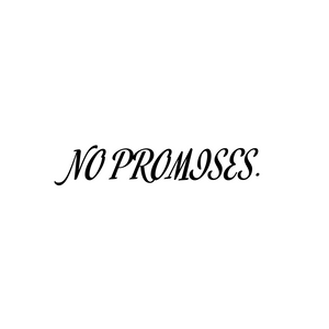 NO PROMISES DECAL